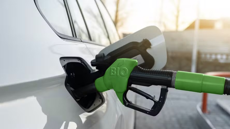 Mistura do biodiesel é mantida em 14%